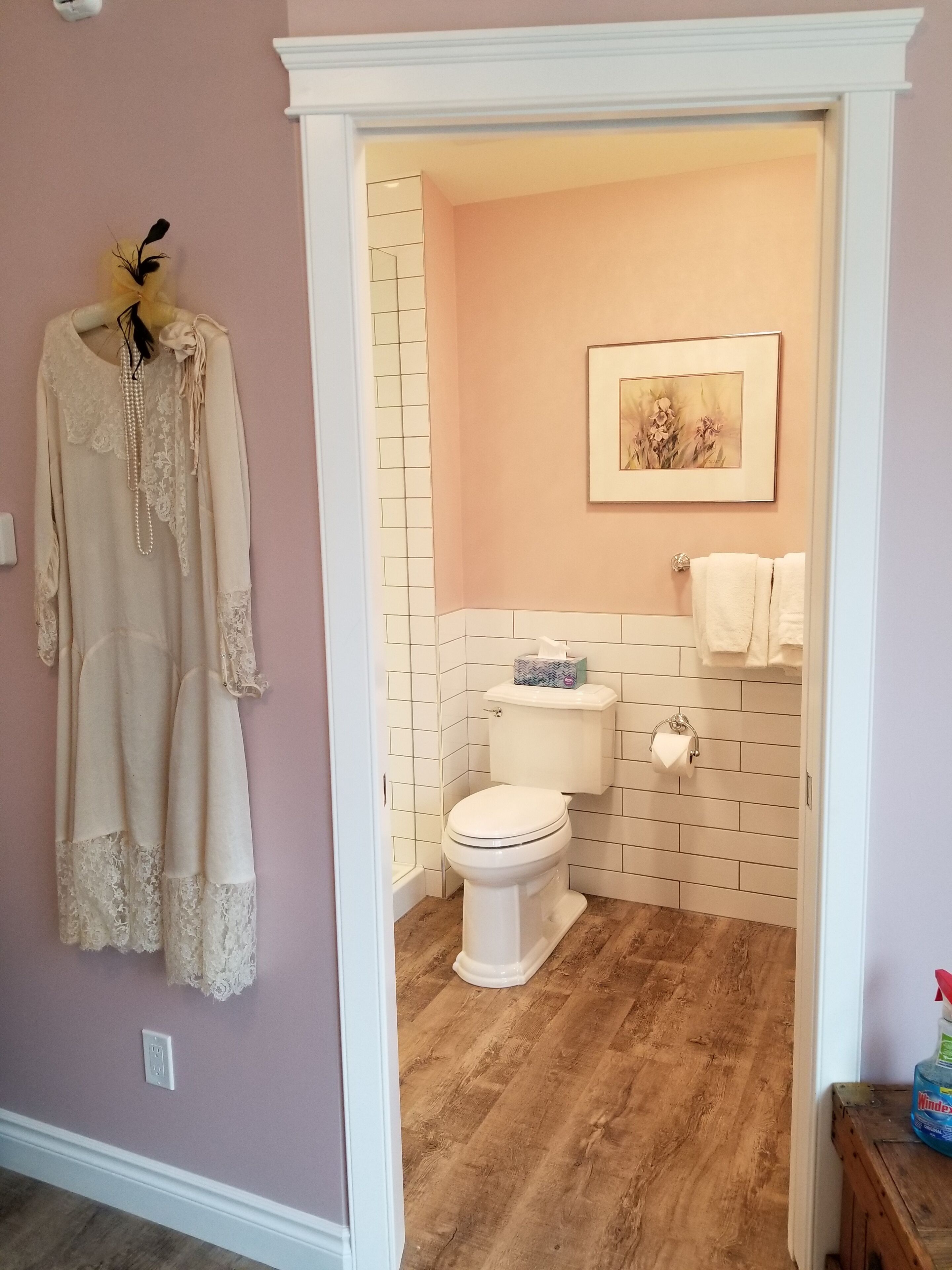 A bathroom with a toilet, a framed picture on the wall, and a hanging garment.