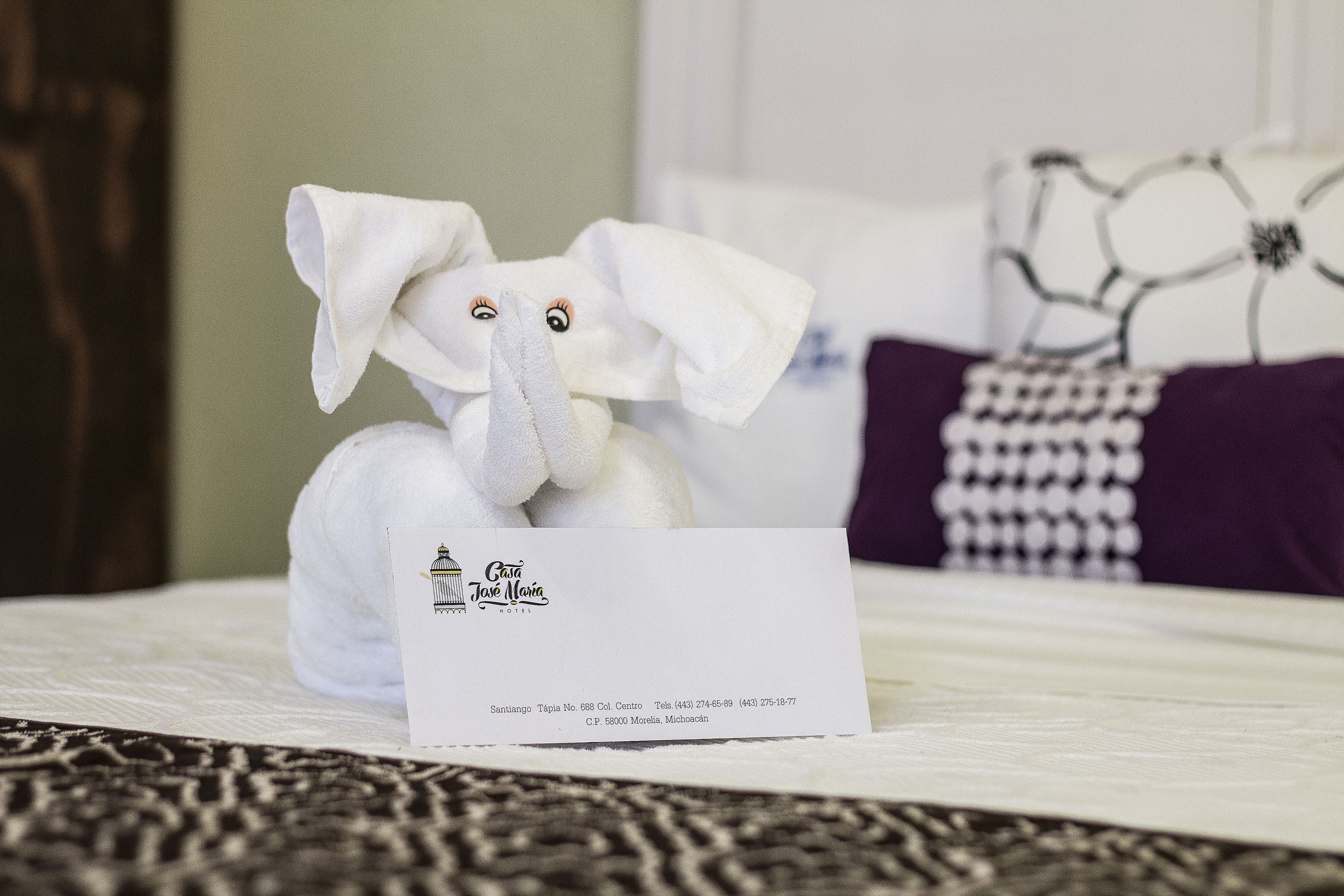 Foto - Casa Jose Maria