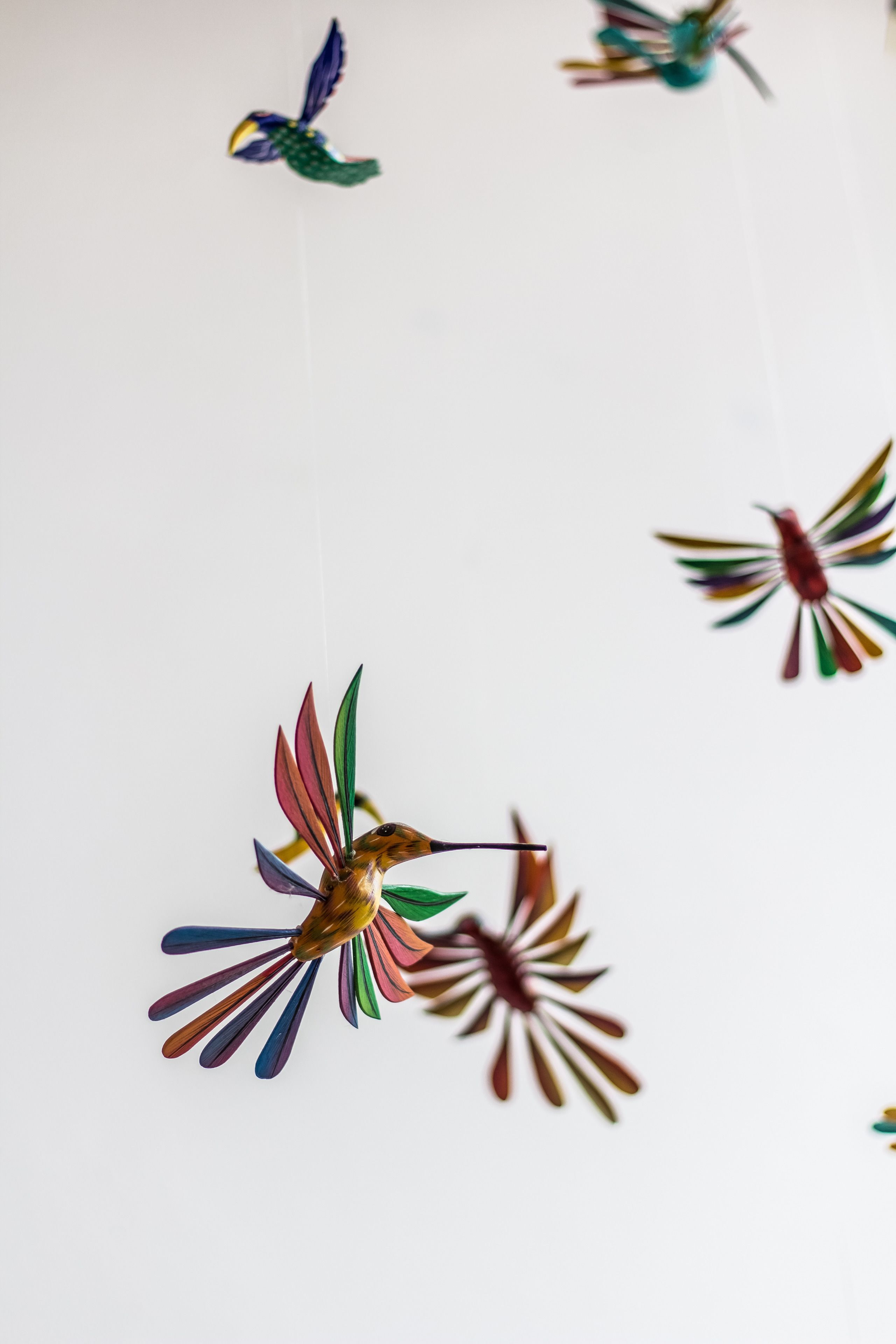 Foto - Casa Jose Maria