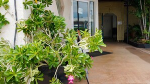 Zona de recepción con un letrero, plantas en macetas y suelo de hormigón.