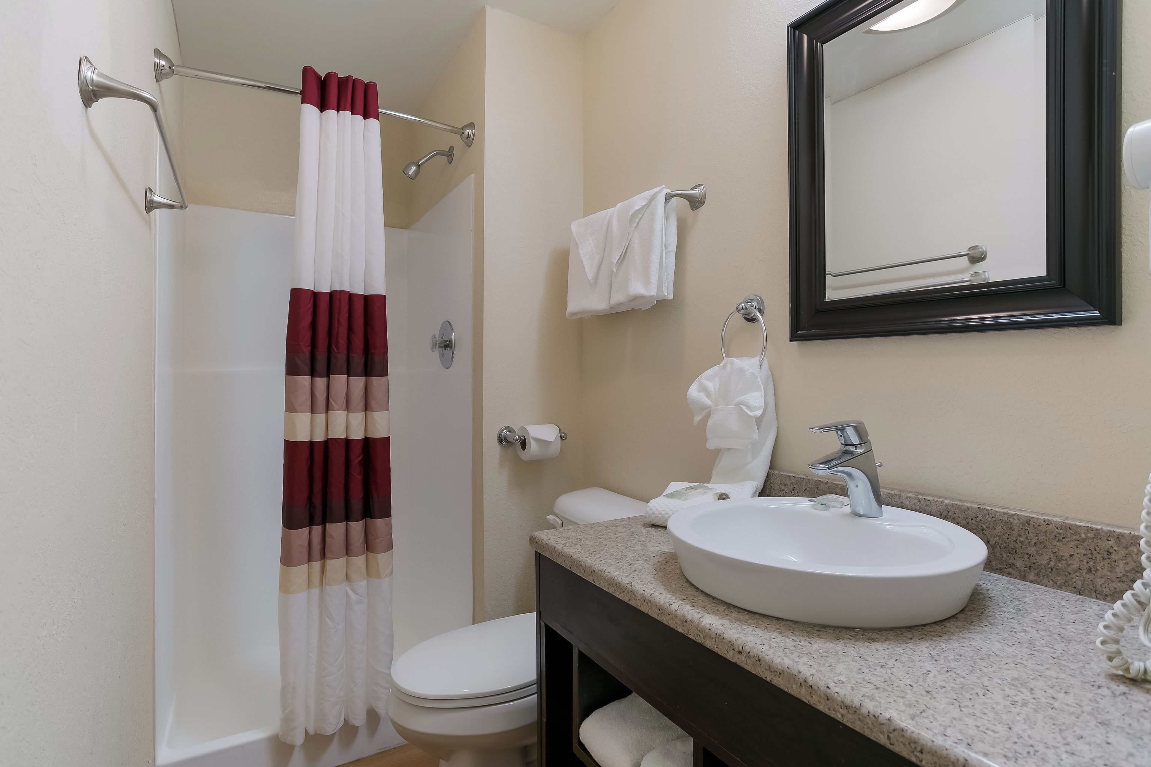 Un baño con ducha, inodoro, lavabo y espejo.