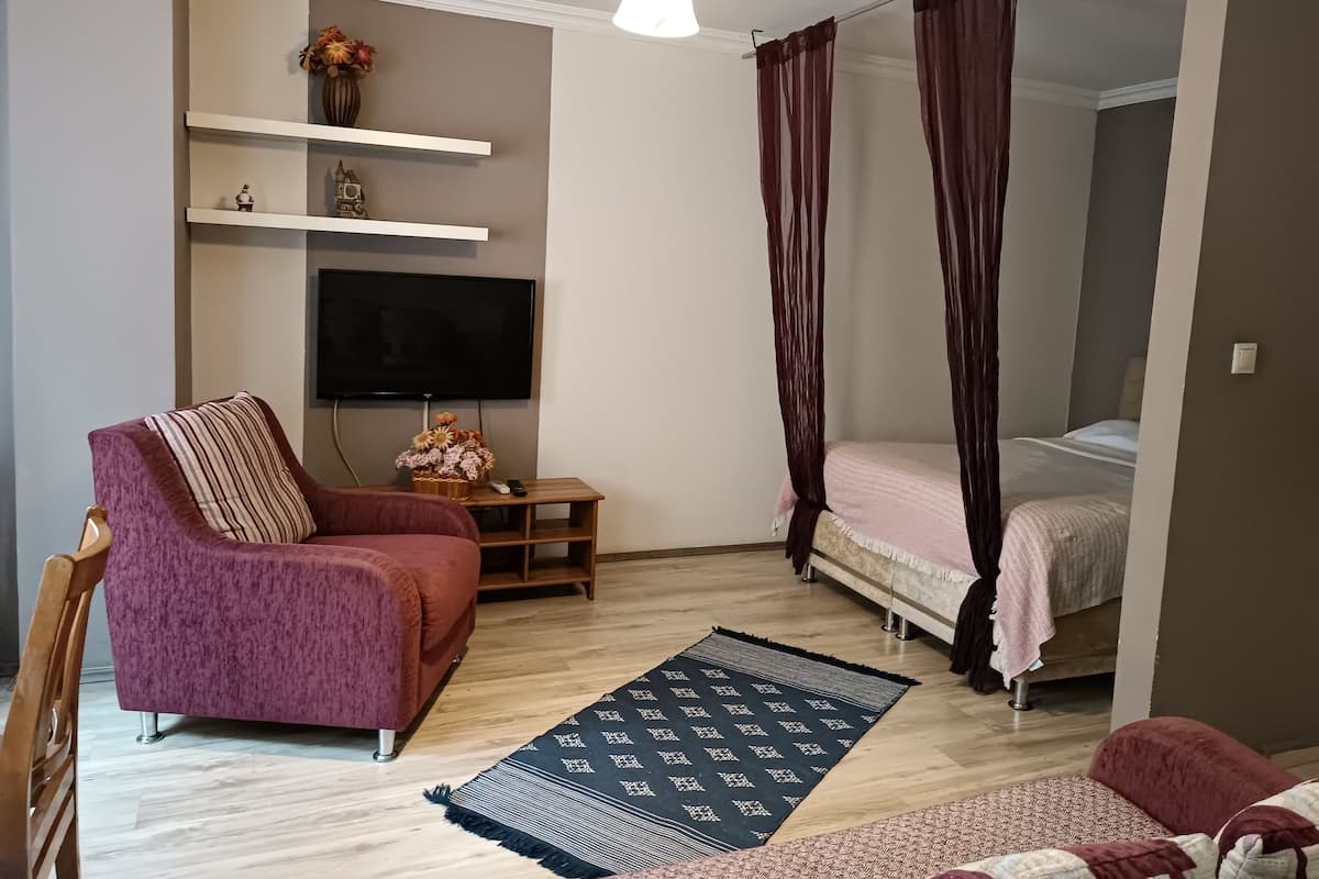Ein modernes Wohnzimmer mit einer Couch, einem Fernseher, einem kleinen Tisch mit einer Vase und einem Bett mit Vorhängen.