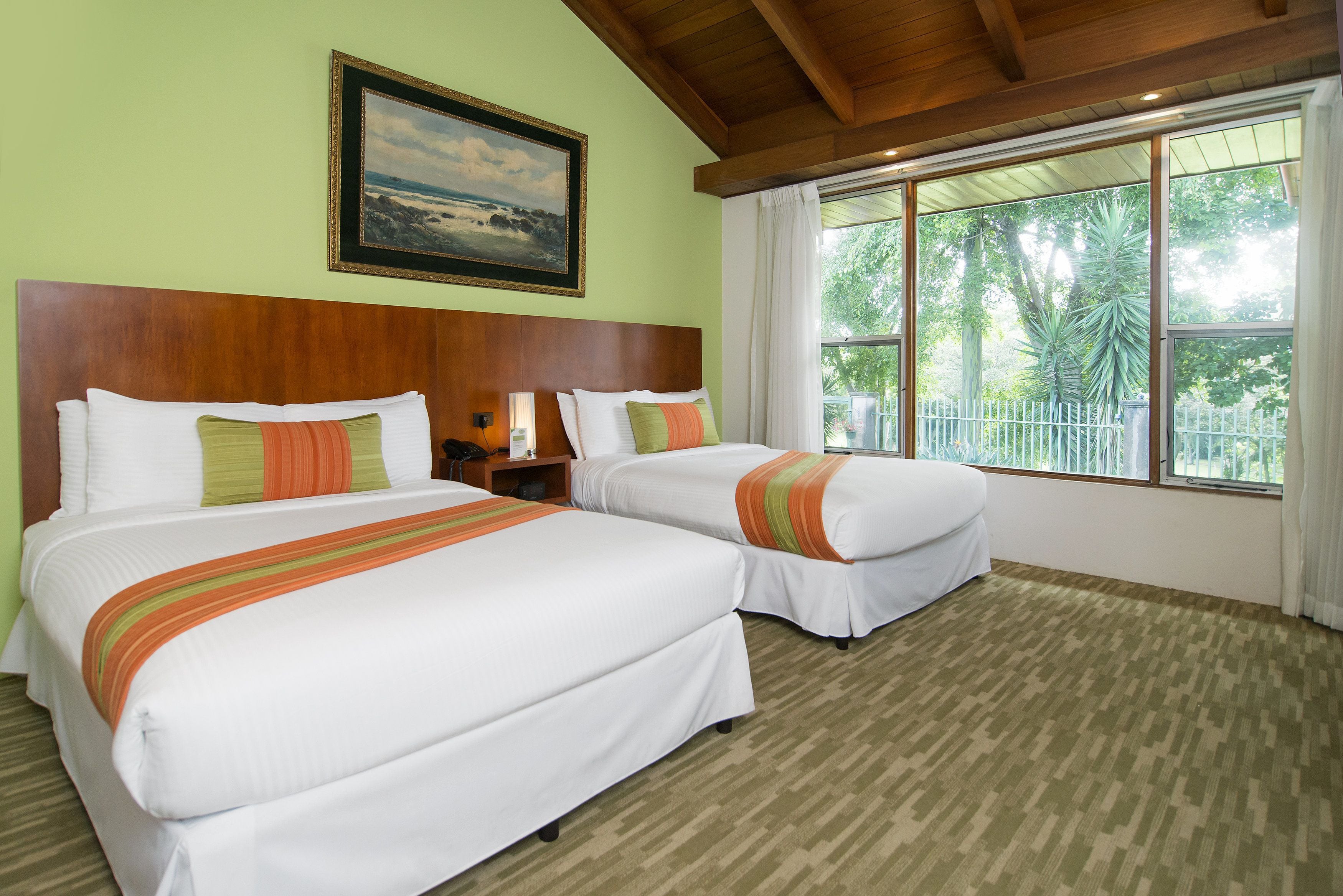 deluxe double room (two queen) | view from room