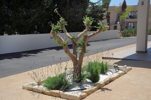 Jardin