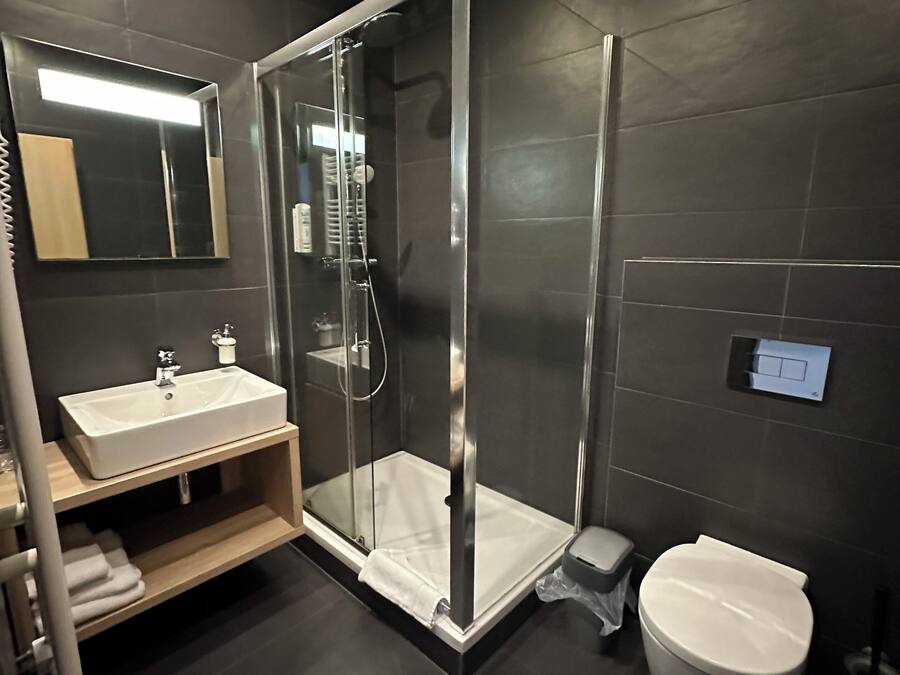 Classic Room | Bathroom | Shower, free toiletries, hair dryer, towels