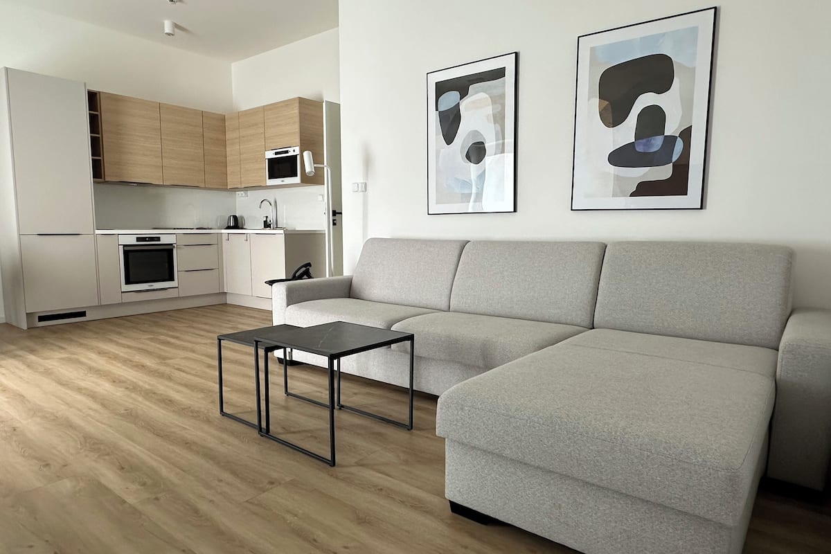 superior apartment, 2 bedrooms | private kitchen