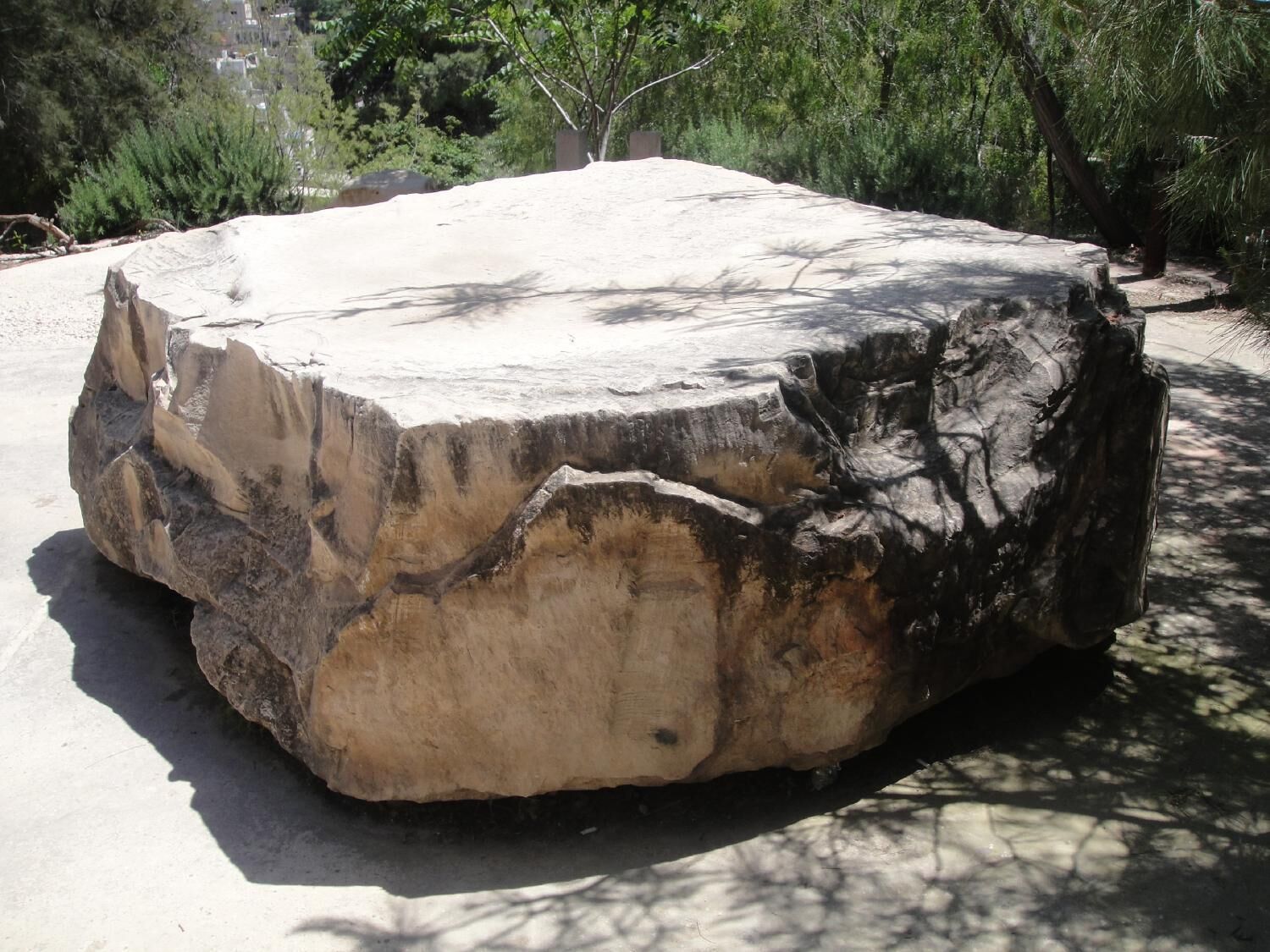 Foto - Art Hotel Downtown