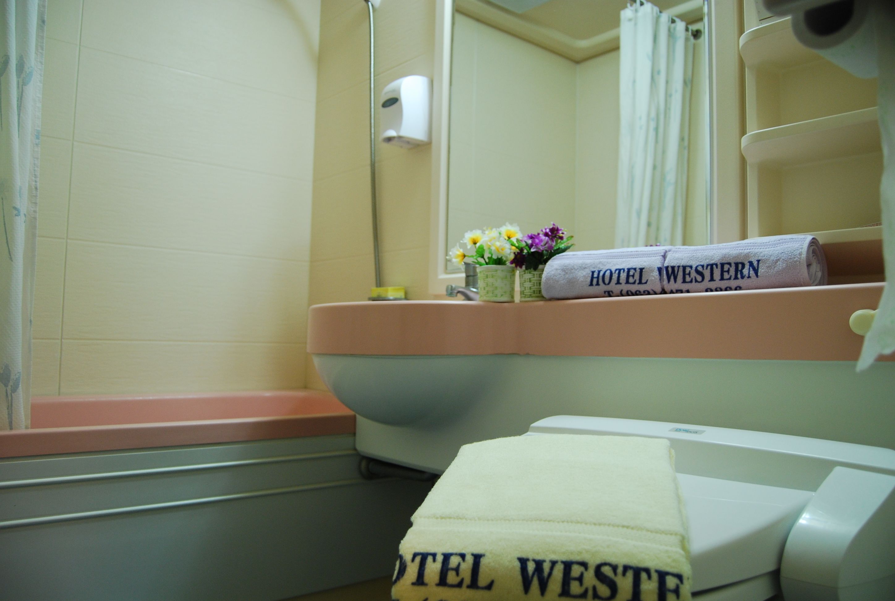 separate bathtub and shower, free toiletries, hair dryer, slippers