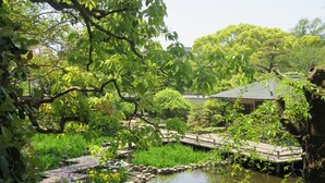 A serene garden with a pond, wooden bridge, and lush greenery.