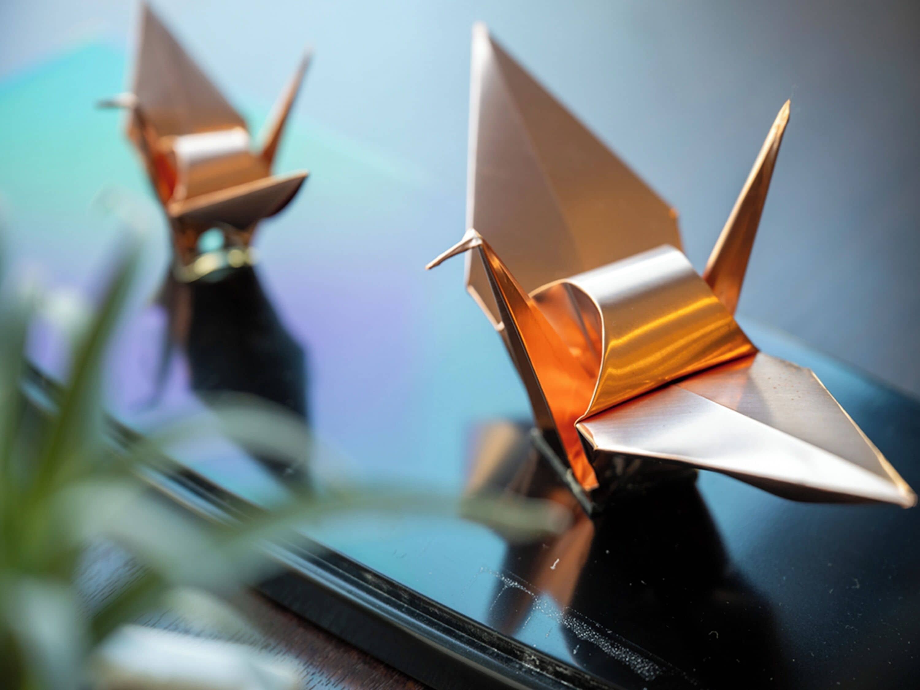 Two origami airplanes on a reflective surface.