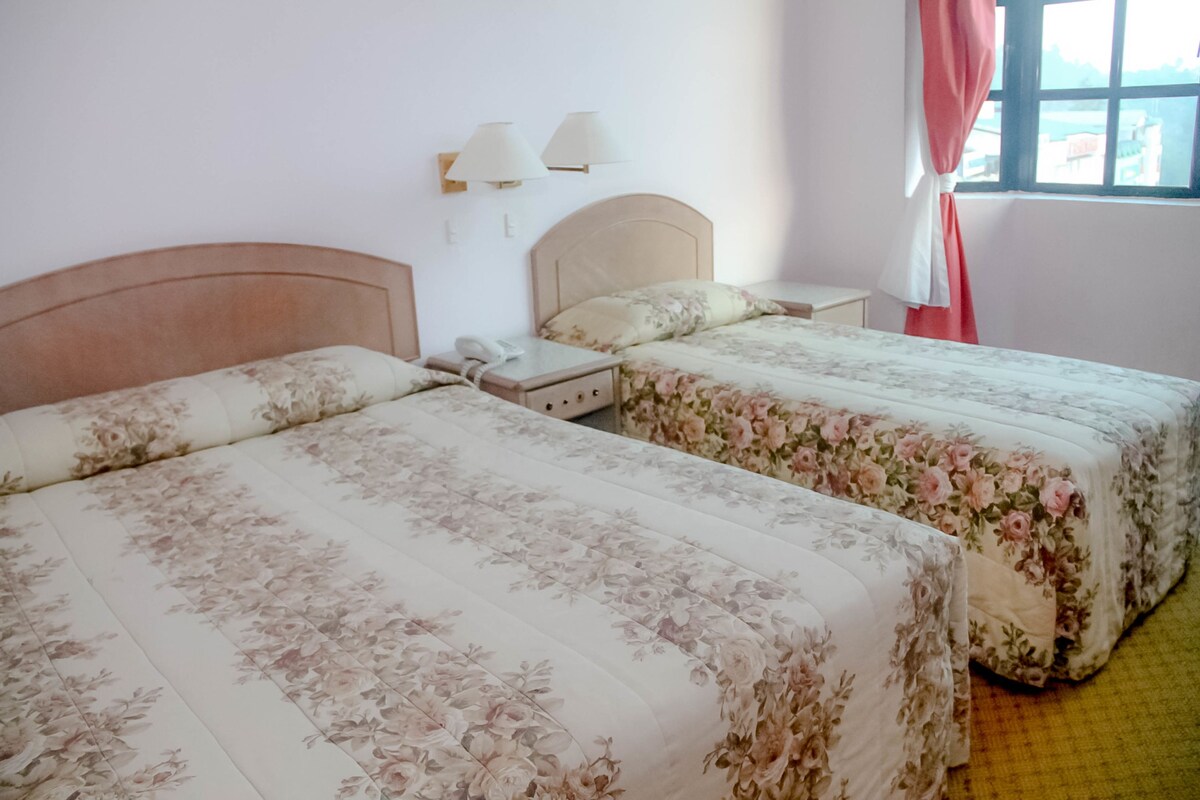 In-room safe, desk, iron/ironing board (on request), WiFi (free)