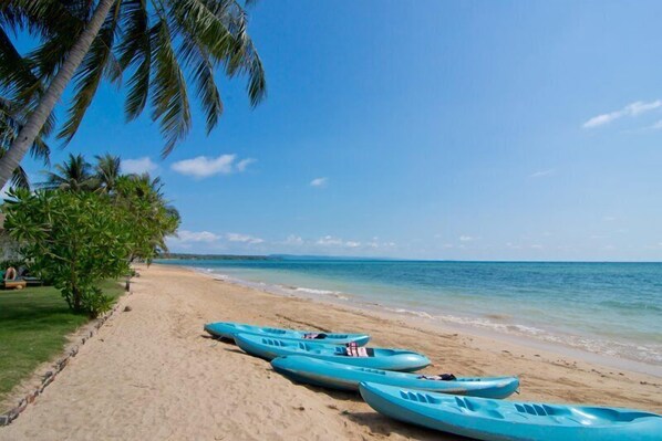 Una playa con kayaks alineados en la arena, palmeras y un cielo azul despejado.
