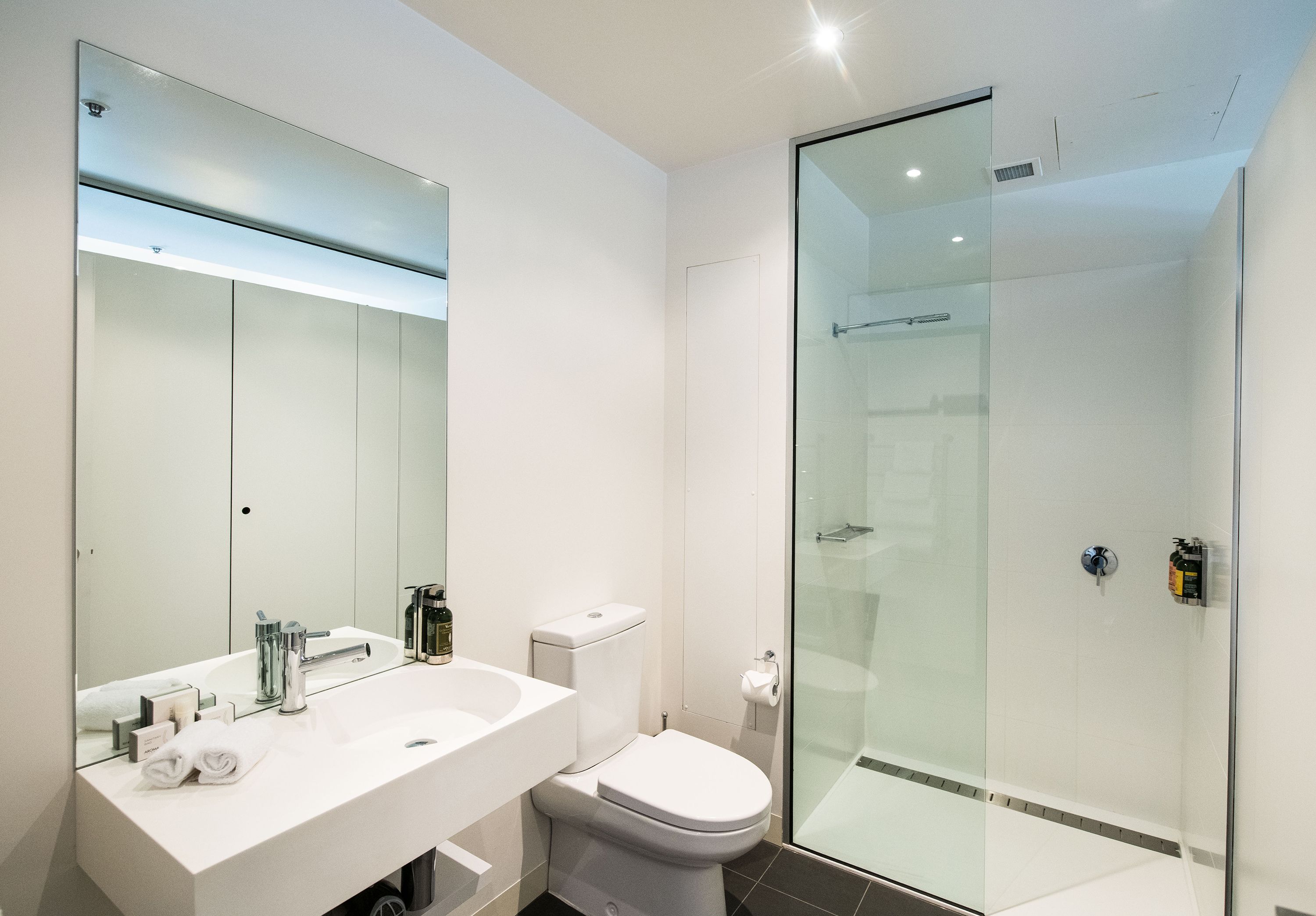 Une salle de bain moderne avec une douche à parois de verre, un lavabo blanc et un grand miroir.