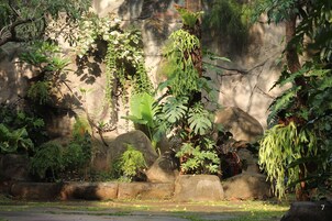 Pemandangan dari hartanah