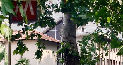 Hotel Zara Milano