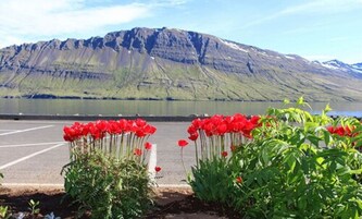 Family Apartment | Mountain view