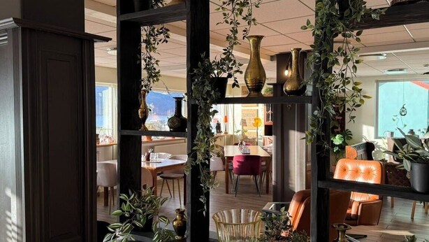A room with a dark wooden bookshelf, various potted plants, and a view of a dining area with tables and chairs. - Hildibrand Hotel (Fjardabyggd)