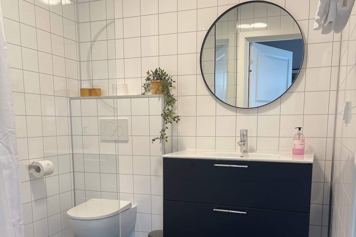 economy double or twin room, courtyard view, annex building | bathroom | shower, hair dryer, towels