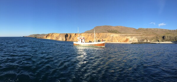 Un barco sobre aguas tranquilas, con una costa montañosa al fondo.