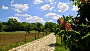 A cobblestone path leading through a lush garden with flowering plants and trees. - La Pampa Relais (Melizzano)