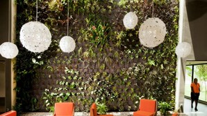 Un espai interior modern amb una paret vertical coberta de jardí, seients taronja i lluminàries esfèriques penjants.