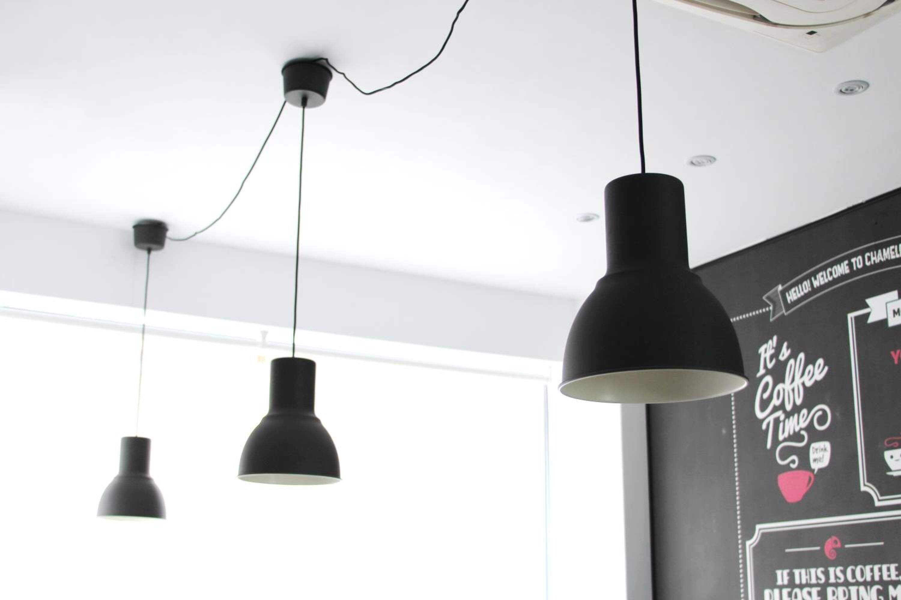 Photo - Chameleon Youth Hostel Alicante