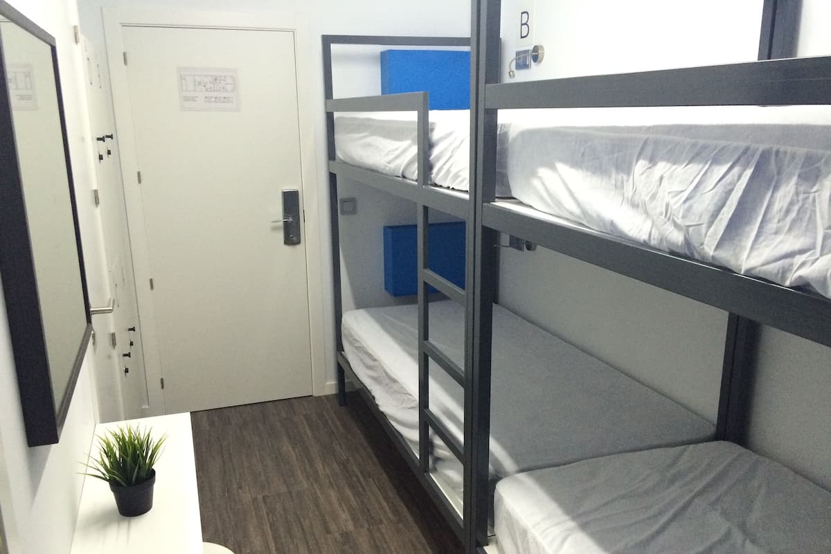 A bunk bed room with a desk and a potted plant.