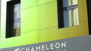 A building with a green facade and a sign for "Chameleon Hostel & Lounge". - Chameleon Hostel (Alicante)