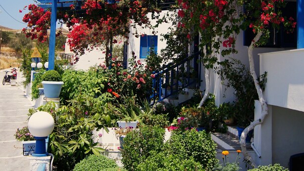 Un edificio con fachada blanca y detalles azules, rodeado de exuberante vegetación y coloridas flores rojas.