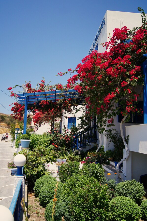 Coffres-forts dans les chambres, fer et planche à repasser