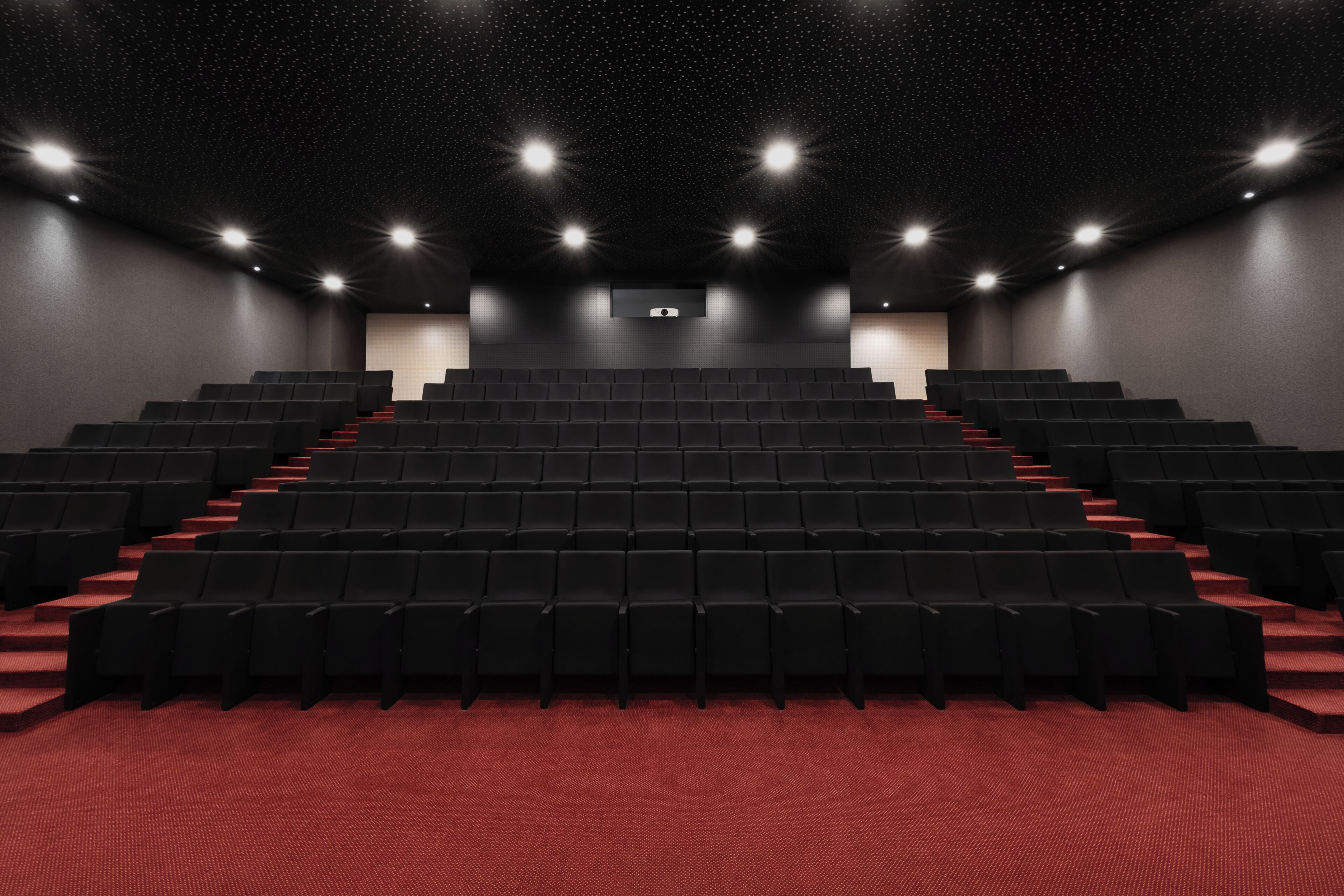A theater with rows of black seats, a red carpet, and a starry ceiling.