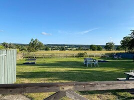 A grassy outdoor area with a wooden fence, a picnic table, and chairs.