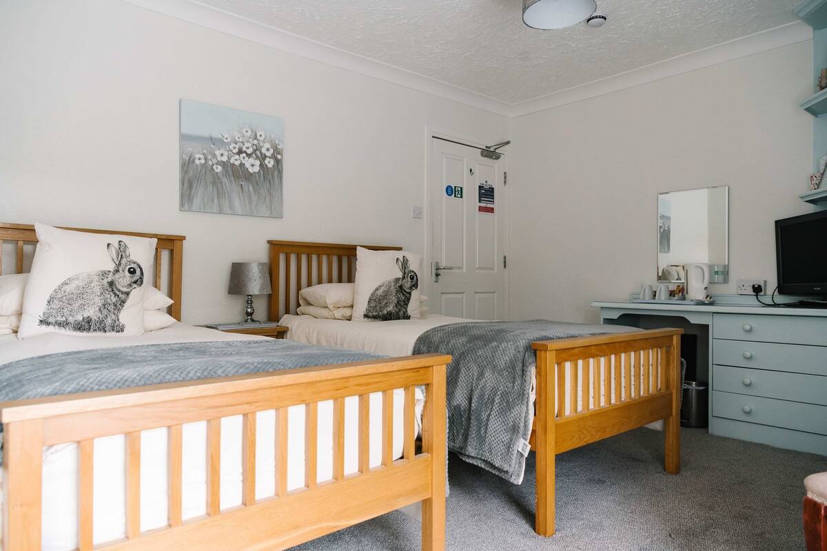 Standard Twin Room, Ensuite, Garden View (and shower)