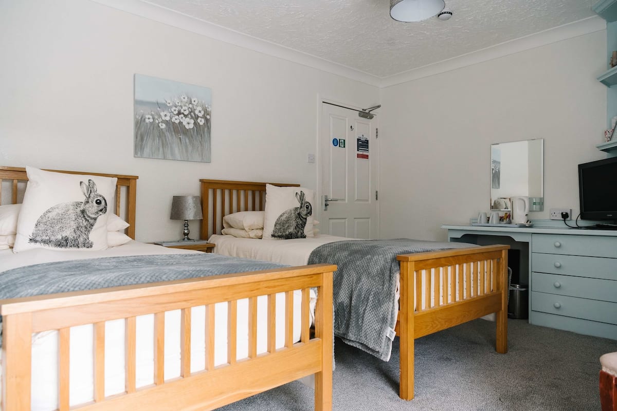 Standard Twin Room, Ensuite, Garden View (and shower)