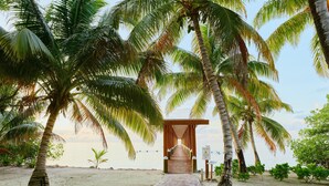 Un sendero conduce a una construcción de madera rodeada de palmeras y una playa.