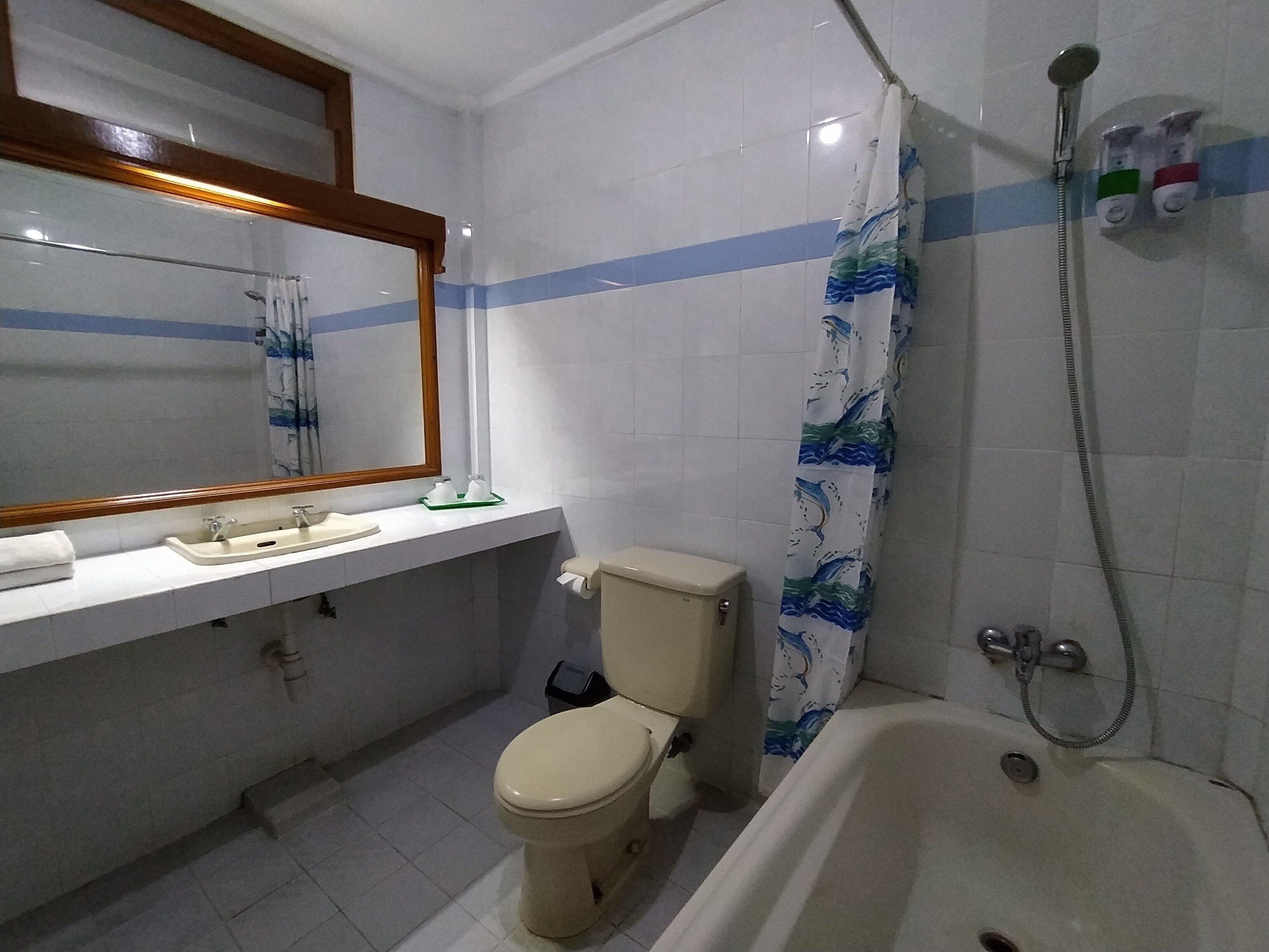 combined shower/bathtub, towels, soap, shampoo