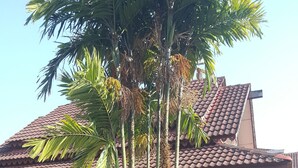 A building with a tiled roof, a stone archway, and a palm tree. - Hotel Seri Malaysia Alor Setar (Alor Setar)