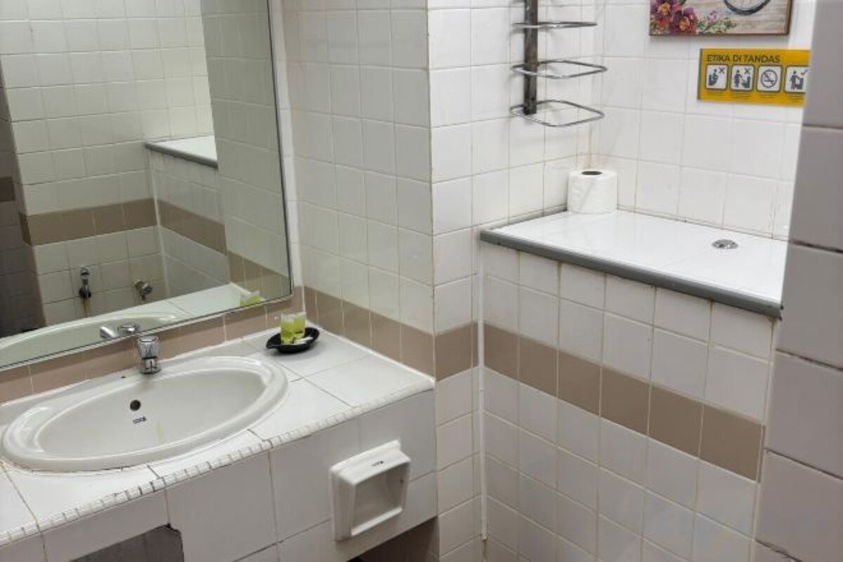 Shower, hair dryer (on request), bidet, towels