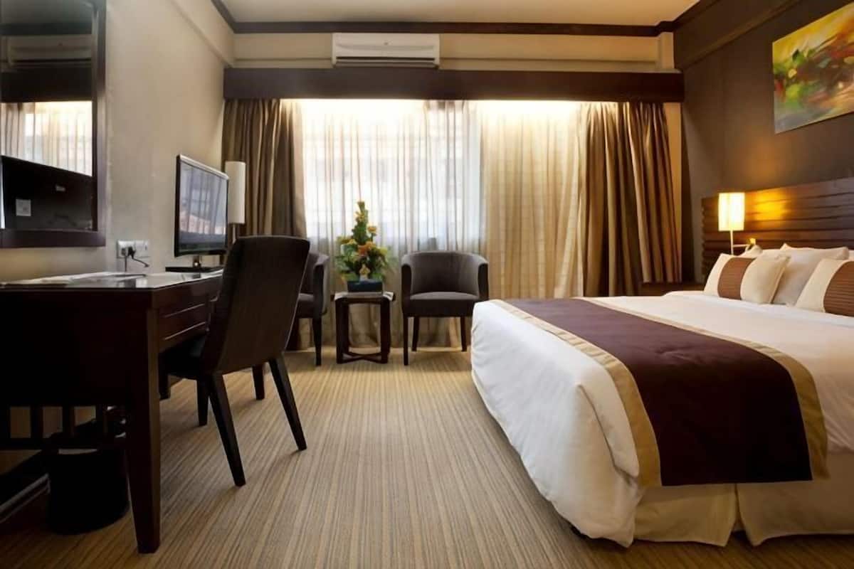 Een hotelkamer met een bed, bureau, stoel, televisie en een klein tafeltje met een plant.
