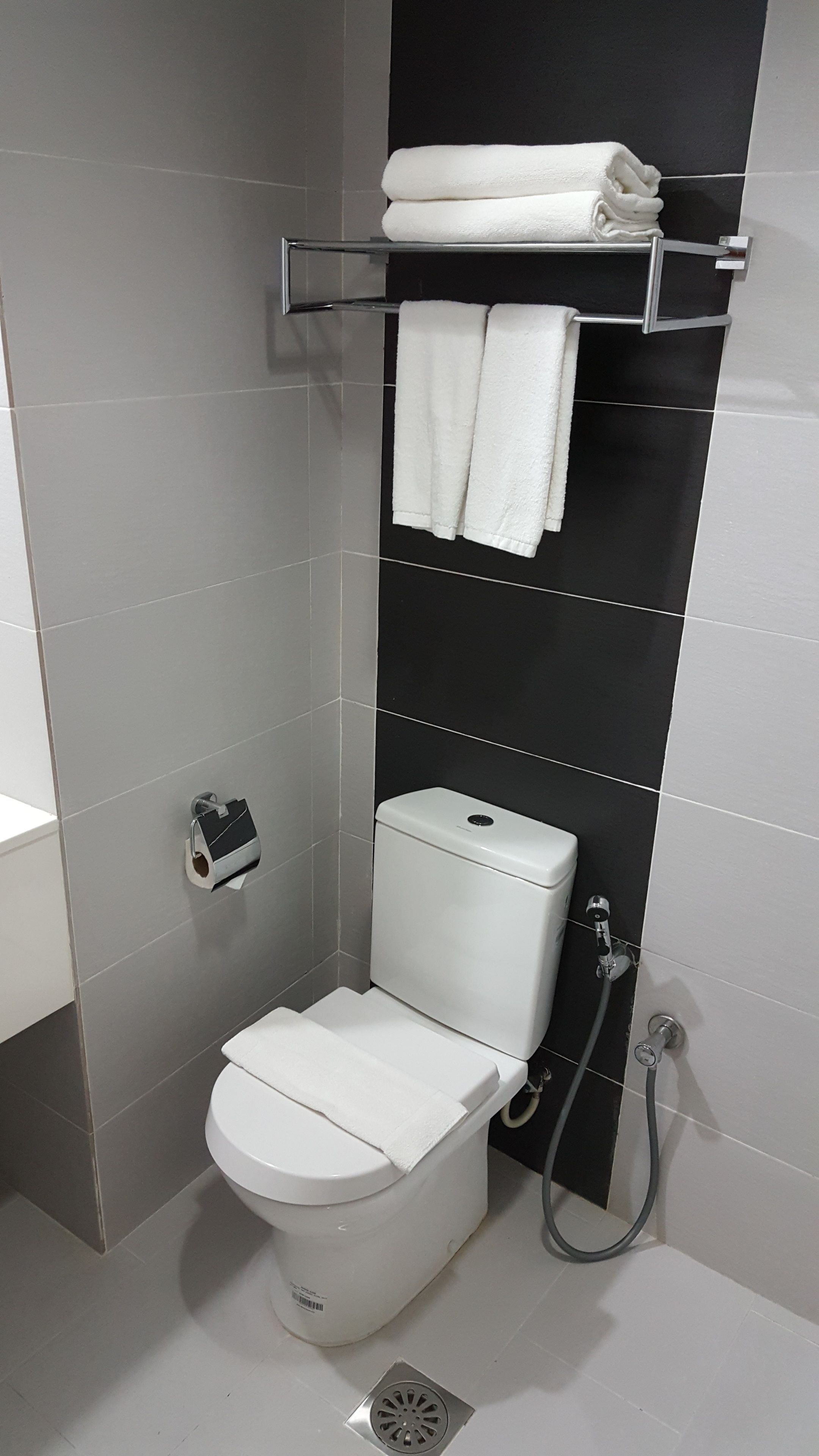 shower, free toiletries, bidet, towels