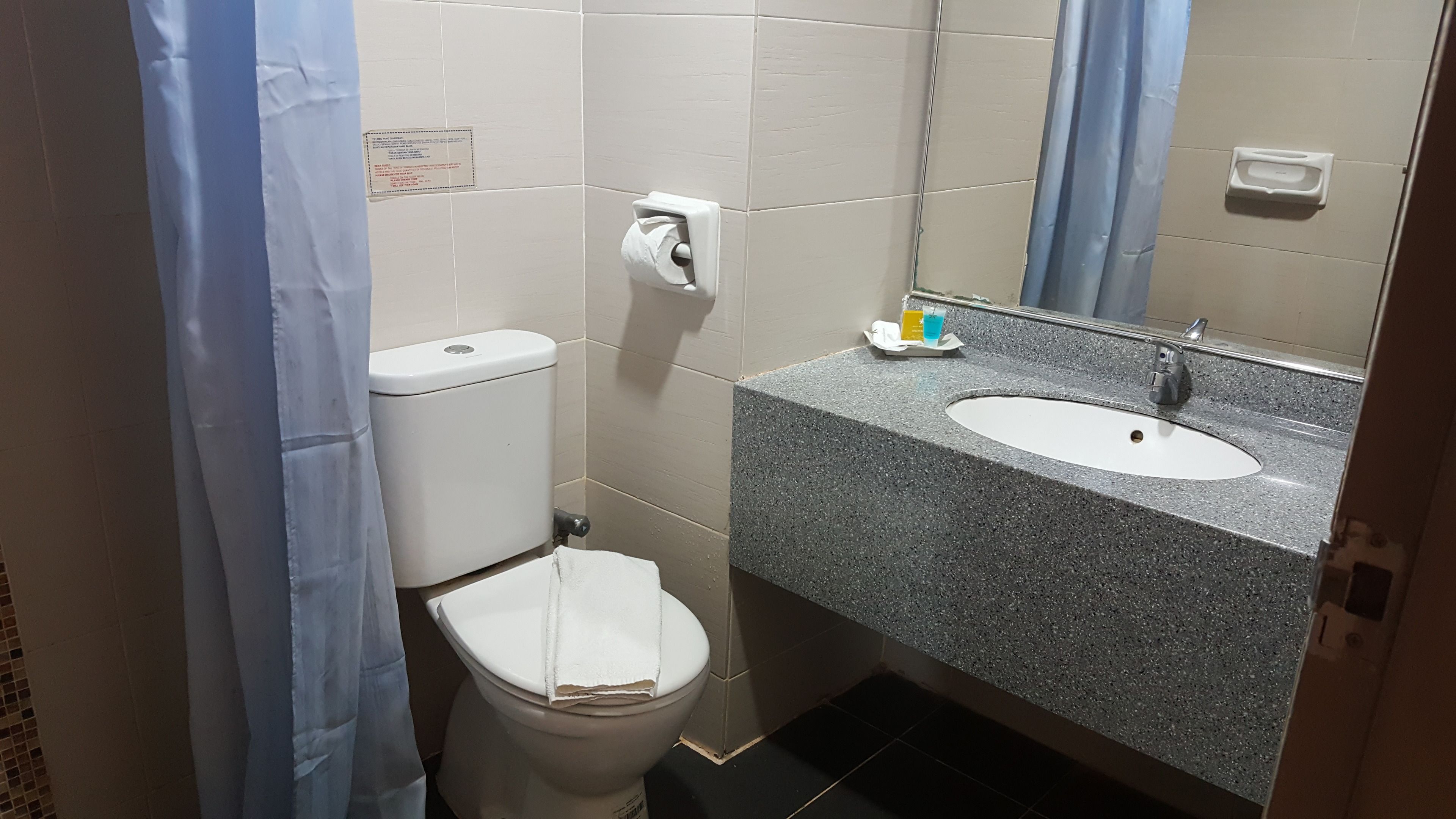 A bathroom with a toilet, a sink, and a mirror.