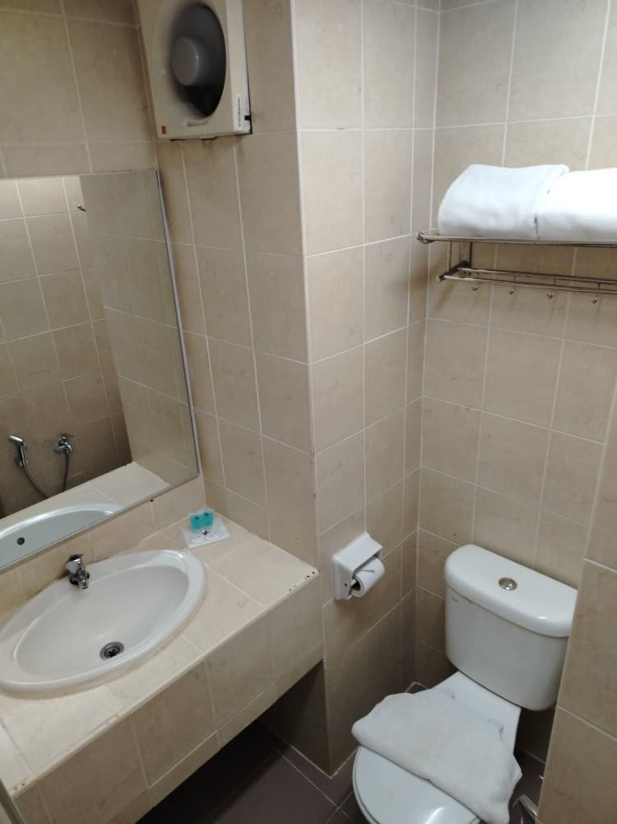 Un baño pequeño con lavamanos, espejo, inodoro y perchero para toallas.