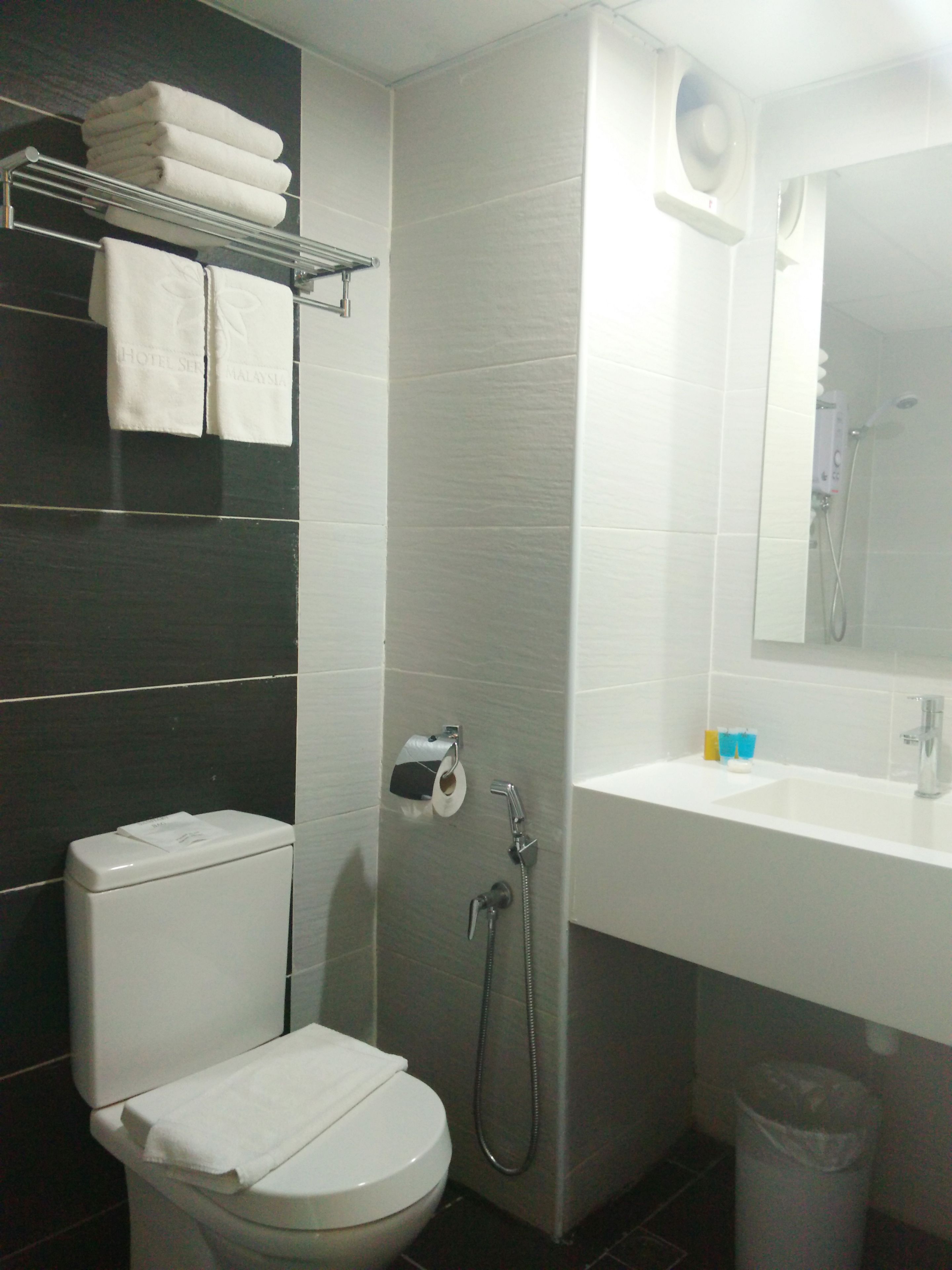 shower, hair dryer, bidet, towels