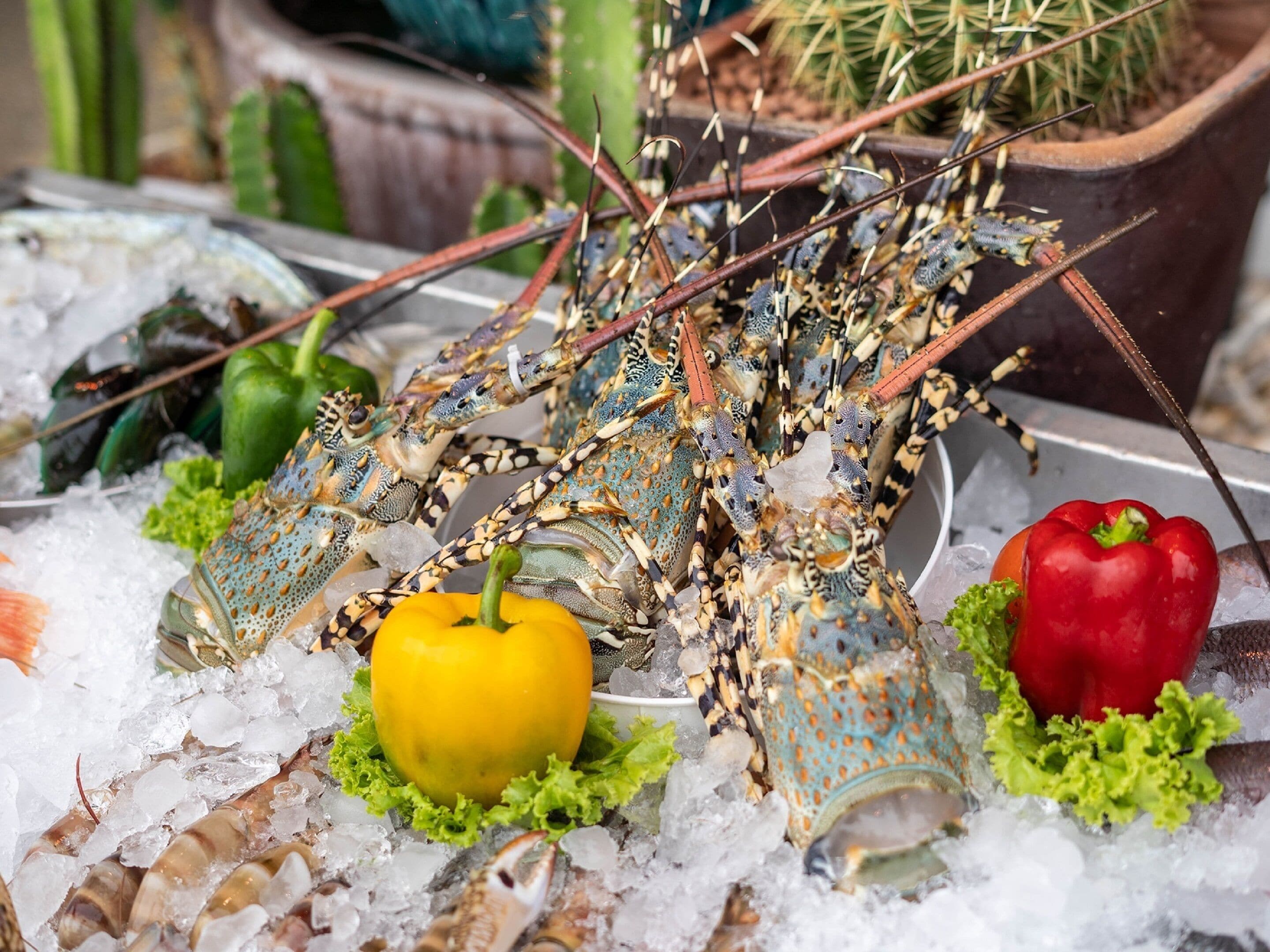 A lobster on ice with a yellow and red bell pepper.