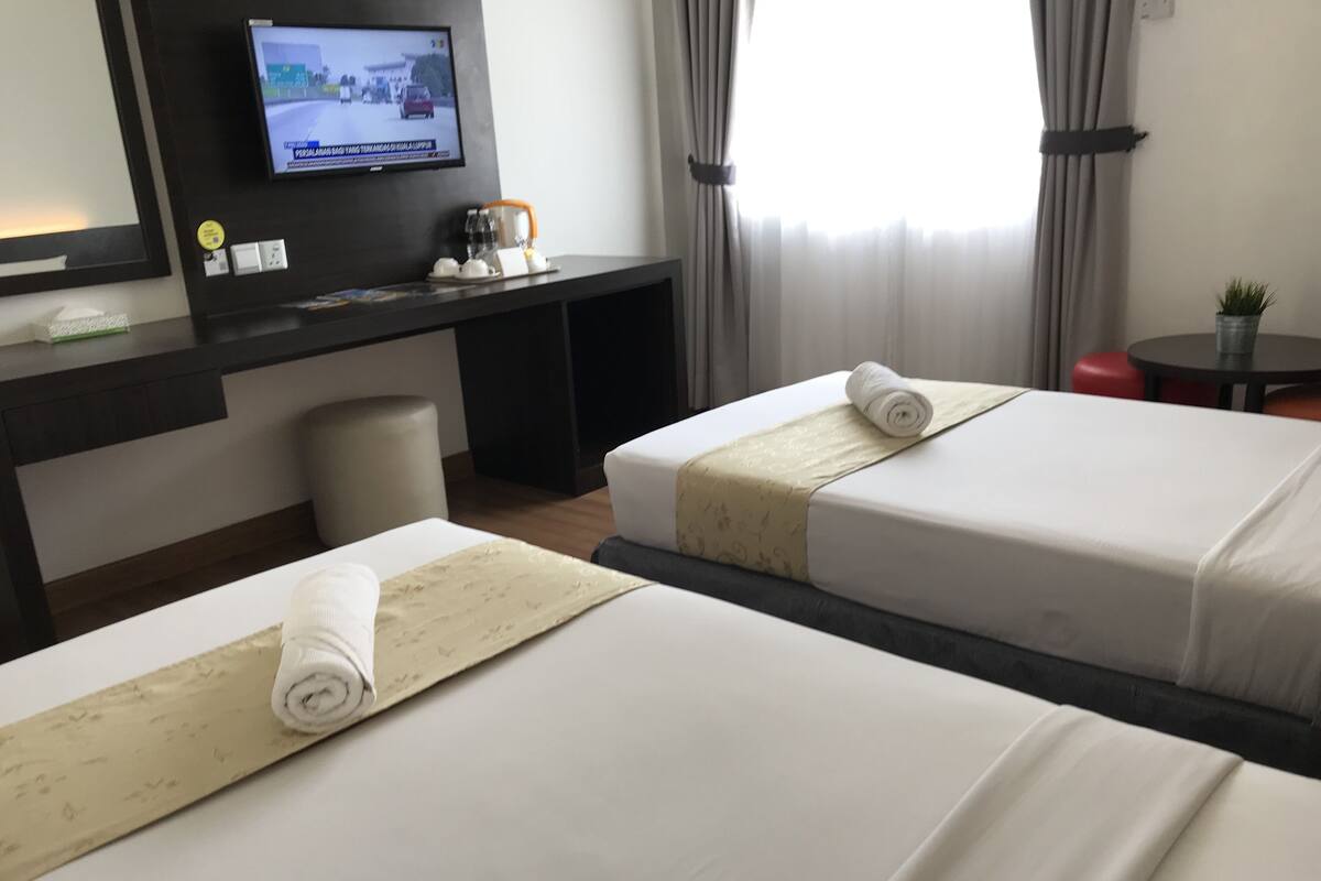 A hotel room with two beds, a desk with a TV, a small table, and a potted plant.