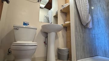 Ein modernes Badezimmer mit Toilette, Waschtisch und Dusche.