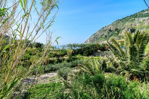 Un paisaje natural con vegetación densa y montañas al fondo.