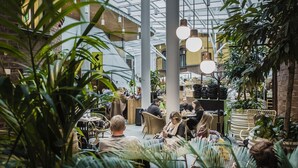 An indoor dining area with tables and chairs, surrounded by plants and hanging lights. - U&Me, BW Signature Collection (Umea)