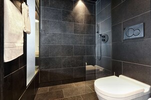 Ducha, cabezal de ducha tipo lluvia, secador de pelo, toallas