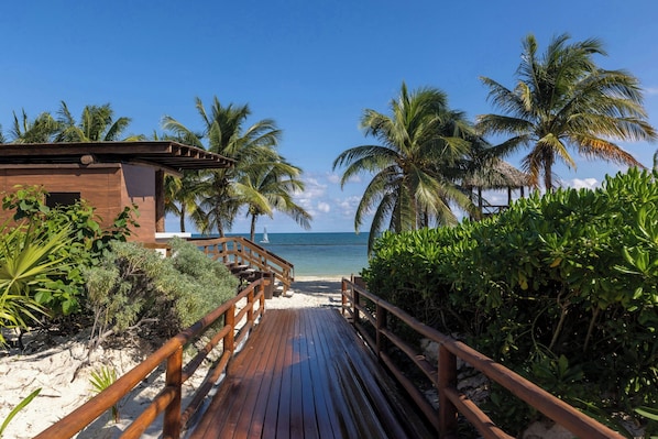 A wooden pathway leading to a beach with palm trees and a clear view of the ocean. - Royalton Riviera Cancun, An Autograph Collection All-Inclusive Resort & Casino - Newly Renovated (Puerto Morelos)